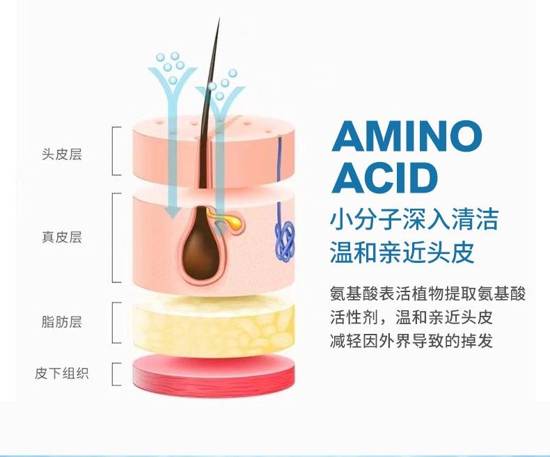 珍草堂蚕丝蛋白护发素植物萃取深入修护受损发质改善分叉干枯正品-图3