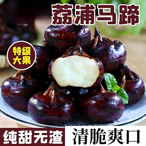 正宗荔浦马蹄荸荠新鲜大果红皮水果马蹄荸荠果鲜马蹄特大脆甜无渣 - 图3