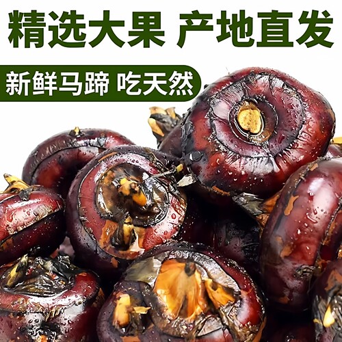 正宗荔浦马蹄荸荠新鲜大果红皮水果马蹄荸荠果鲜马蹄特大脆甜无渣 - 图1