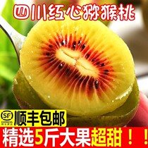 Authentic Sichuan Red Heart Exotic Fruit Fresh Pregnant Woman Fruit to Season Great Fruit Macaque Peach 10 Whole Boxes