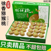 (High-end Gift Box Dress) Zhengzong Shaanxi Week to Xu Xianggreen Heart Exotic Fruit Chic Exotic Fruits Fresh Super Sweet Non-Cuts