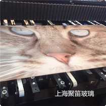 High temperature digital realizes whole process high temperature printing color glazed glass on glass