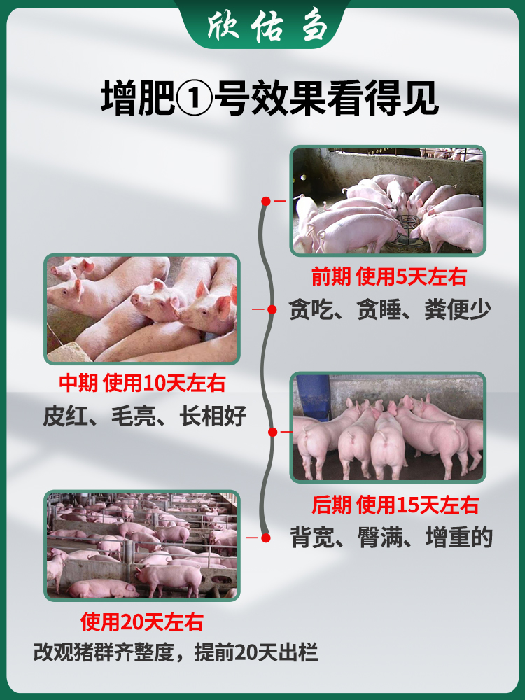 增肥一号猪日长催肥饲料添加剂兽用牛羊育肥增重催肥拉骨架促生长