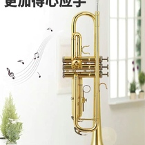 Exit Quality Rhymes Meme Trumpet Instrument Drop B tonics Class Professional gold Silver Silver Phosphorus Copper