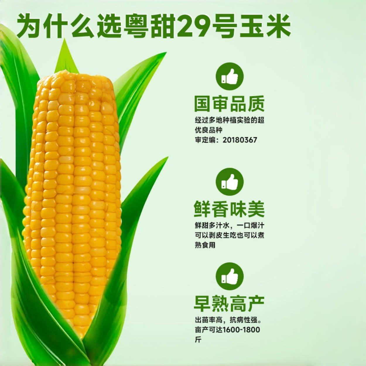 粤甜29号玉米种籽超甜高产水果玉米种子脆甜糯糯米春季杂交种孑,淘宝优惠券,粉丝福利购,淘宝优惠卷