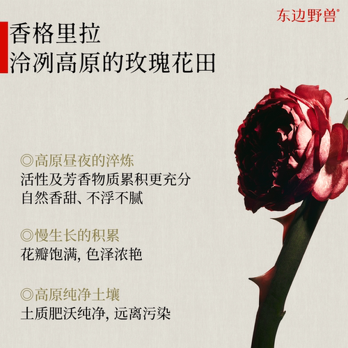 【回购王】东边野兽玫瑰普洱洁颜蜜温和清洁洁面水润不紧绷洗面奶 - 图3