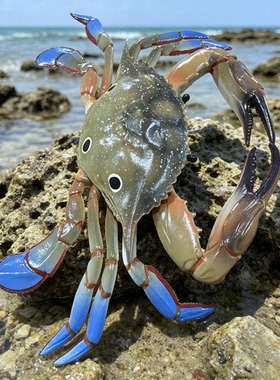仿真螃蟹鱼缸造景装饰花园鱼池海底世界水族馆摆件仿真梭子蟹摆件