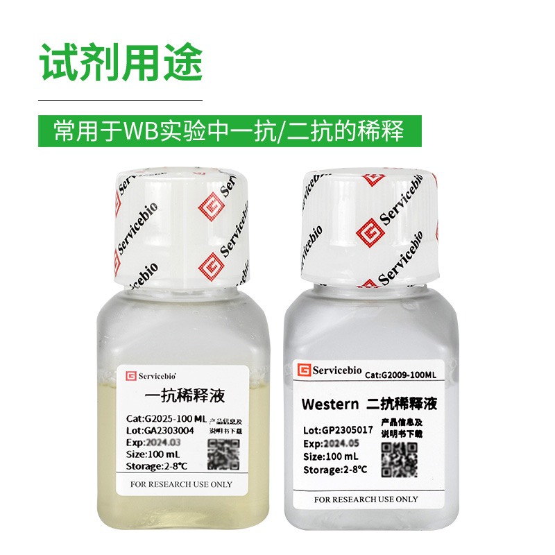 赛维尔 Western blot 一抗/二抗稀释液 增强抗原抗体结合100ml/瓶 - 图0