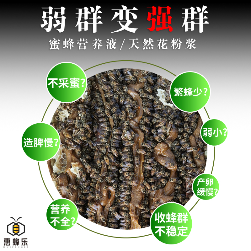 蜜蜂营养液繁蜂强蜂液中蜂意蜂蜂粮花粉蜜蜂饲料喂蜂养蜂专用工具 - 图2