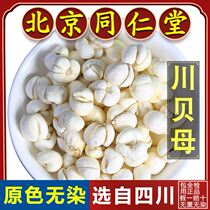 Tongrentang Fritillaria Chinese herbal medicine 250g Sichuan Begrain dry wild Sichuan Abakawa Besoak boiling water to drink