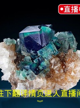天瑜石光纪直播选矿链接