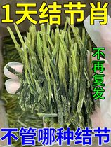 Dandelion Loose Knot Tea Selfheal Tea tea Thyroid Tea Grinding Glass Lung Tiny Knots Eliminating Breast De-ginning Tea Bag