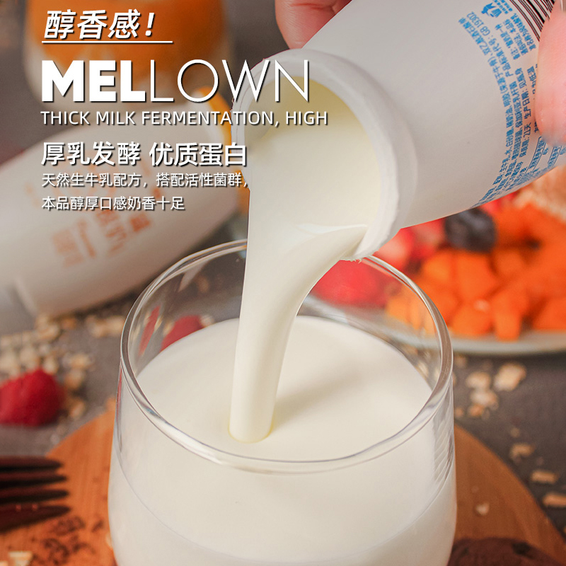 新希望琴牌小罐乖巧冰淇淋酸奶低温浓稠原味儿童宝牛奶爽歪歪整箱