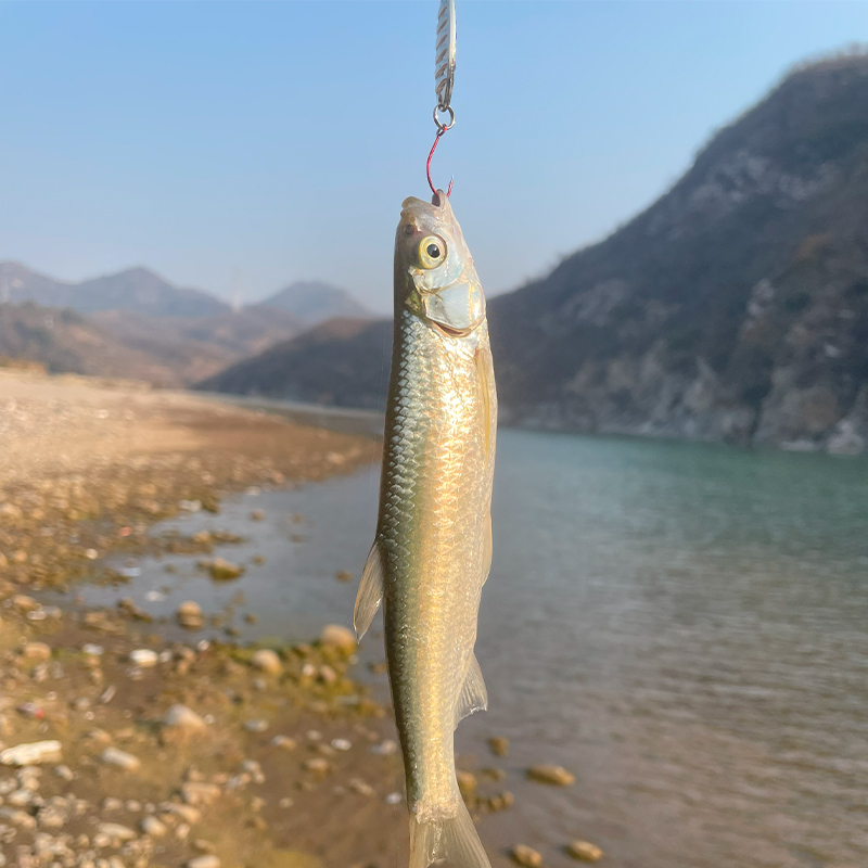 平震微物亮片经典5/7g淡水草鱼青鱼鲤鱼小马口白条罗鳊鱼非斜假饵 - 图1