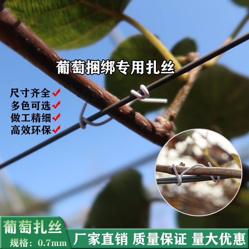 葡萄扎丝包塑扎条圆扁捆电线扎带捆绑枝条5000根金属扎线防锈铁芯,淘宝优惠券,粉丝福利购,淘宝优惠卷