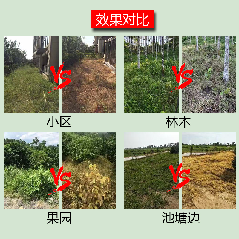 草胺磷强力除草剂烂根剂果园树林荒地茶园除草药剂草铵膦正品农药-图2