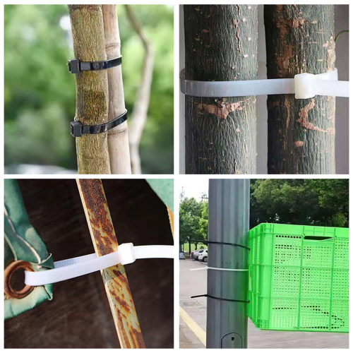 大号自锁式尼龙扎带排水管隔音棉捆扎带塑料固定卡扣捆扎带拉紧器 - 图1