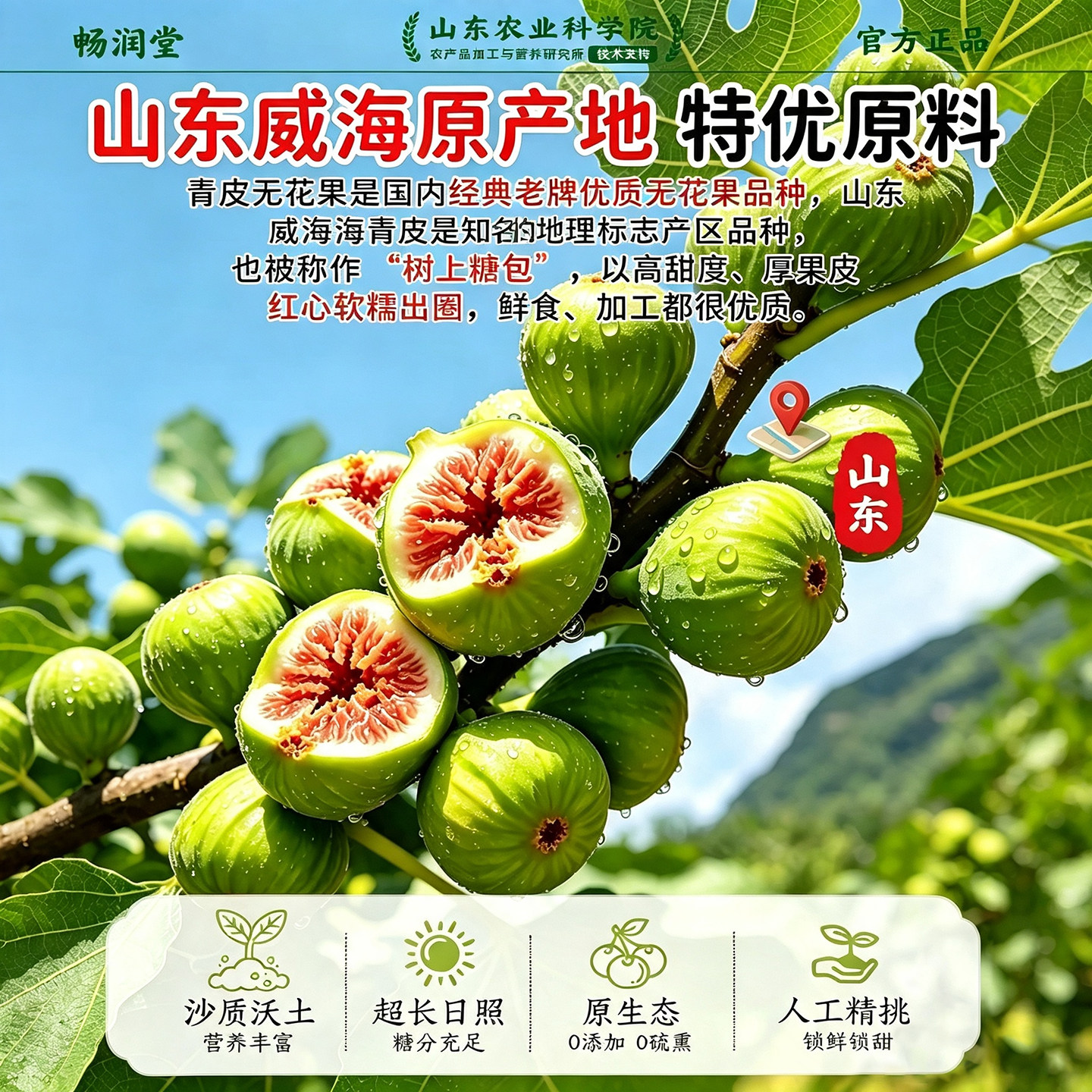 图 2