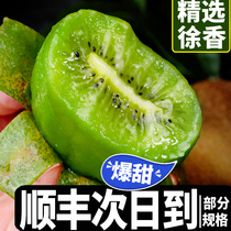 Macaque Peach Eyebrow County Xu Fragrant Kiwi Fruit Fresh When Season Fruit Whole Box Authentic Green Heart Chic Exotic Fruits 5 Catty Organic Fruits