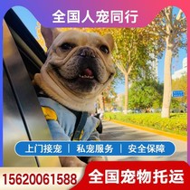 Pet Consignment Service National Kitty Dogs Air air Beijing Shanghai Guangzhou Shenzhen Special Vehicle Macau Hong Kong mailed