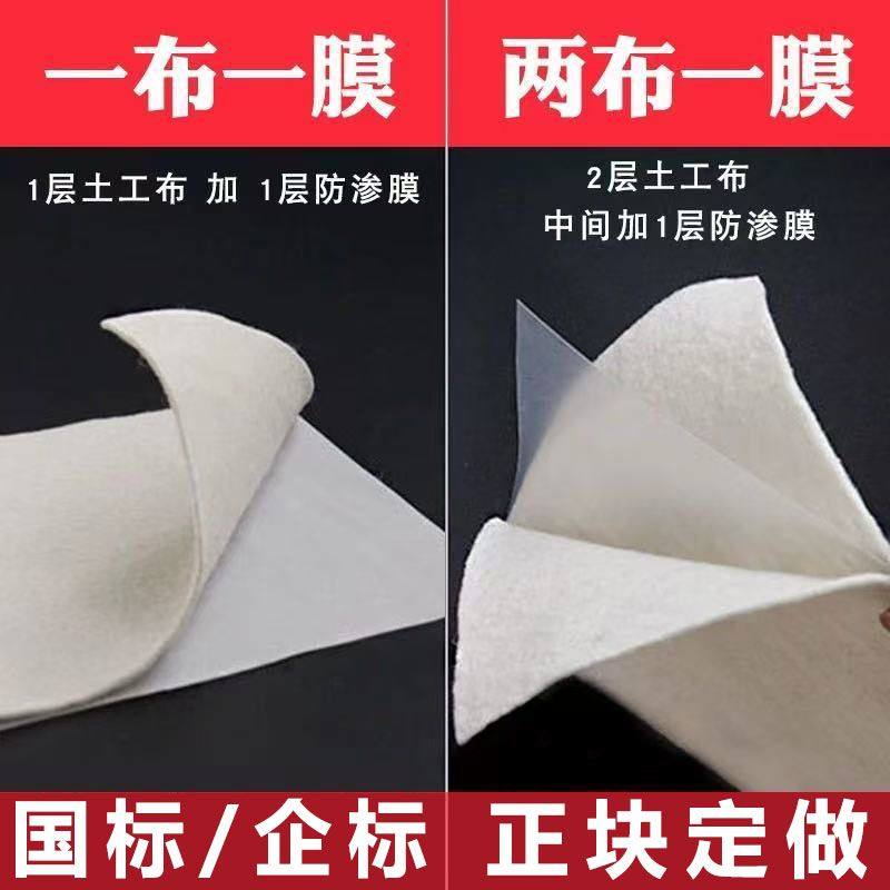 复合土工膜防渗防潮蓄水池鱼池防水护坡专用hdpe两布一膜一布一膜,淘宝优惠券,粉丝福利购,淘宝优惠卷