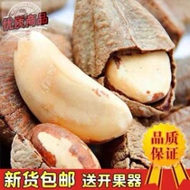New Cargo Abalone Fruits 500g Bagels Brazilian Desert Nuts Salt Stuffy Nuts Bulk Fruit Dry Snacks 30g