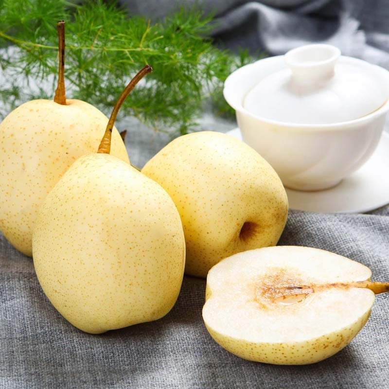 现摘新鲜水果梨子河北鸭梨10斤整箱皇冠梨水晶梨砀山梨苹果梨雪梨 鲜惠语水果旗舰店 淘优券