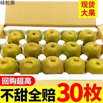 Sichuan Red Heart Exotic Fruits Fresh When Season Fruit Chieca Pregnant Women Should Make the Season Clay Macaque Monkey Peach Whole Box