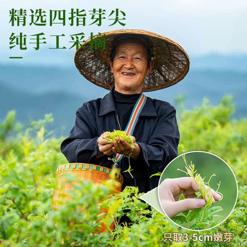 古溪州永顺莓茶官方旗舰店张家界特产特级野生罐装莓茶恩施藤茶 - 图1
