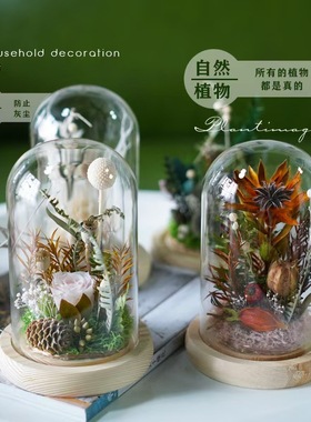 现代样板间植物主题干花玻璃罩标本干花相册画框书房家具景观摆件