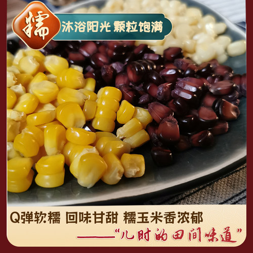山西忻州青玉甜糯玉米无添加代餐黑糯黄糯白糯玉米三色混合装12根 - 图2