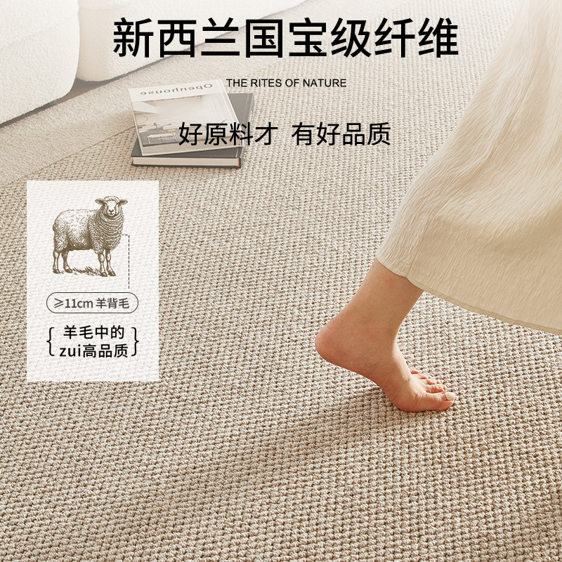 羊毛地毯客厅2025新款沙发免洗可擦卧室地垫防水防污轻奢高级感