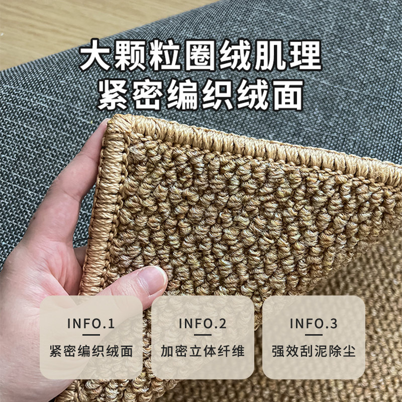 Wear-resistant cat scratch-proof photography background carpet living room