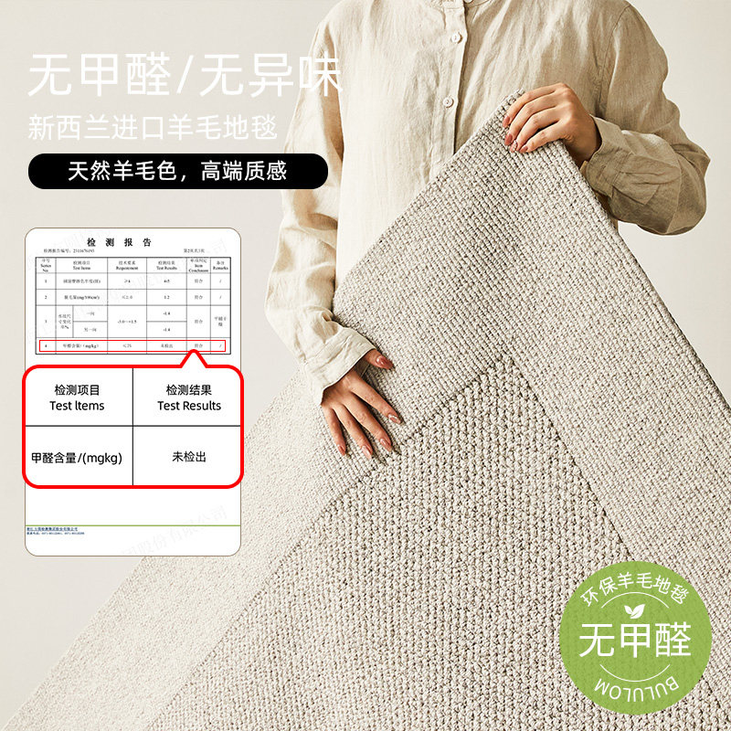 羊毛地毯客厅2025新款沙发免洗可擦卧室地垫防水防污轻奢高级感