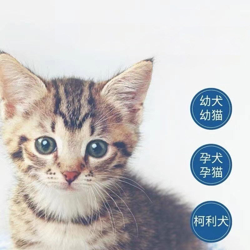 京霸克微爽喷剂宠物猫咪狗狗真菌细菌感染红肿瘙痒犬皮肤病抑菌液,淘宝优惠券,粉丝福利购,淘宝优惠卷