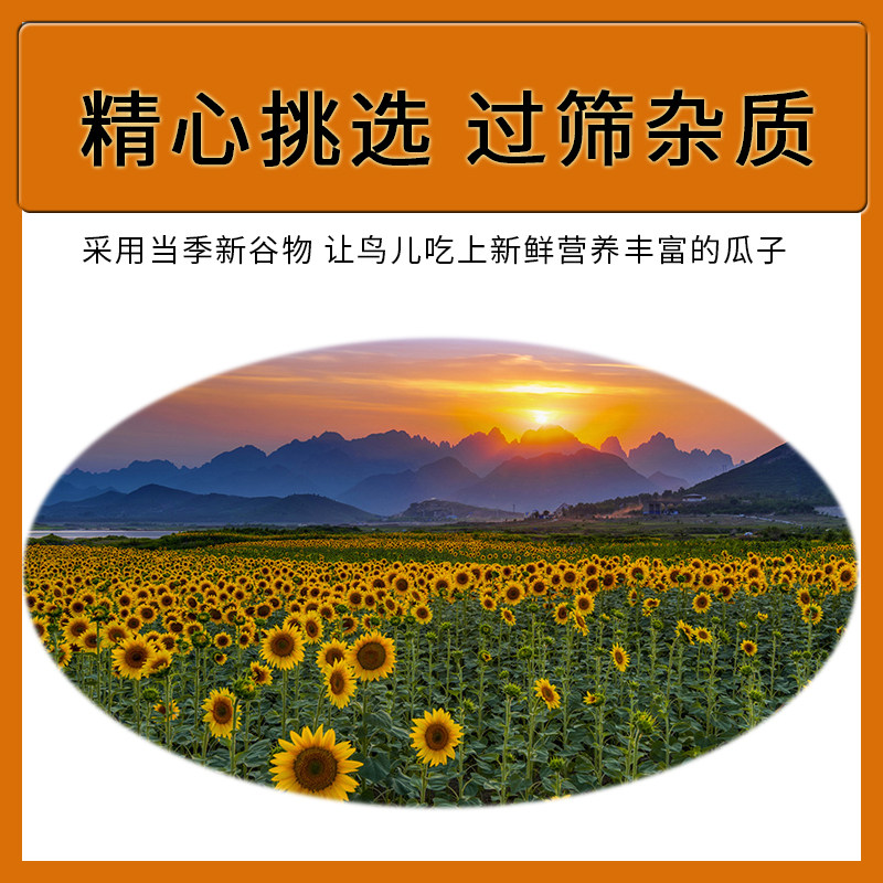 牡丹虎皮鹦鹉饲料小瓜子油葵籽鸟粮宠物鸟食仓鼠零食一斤装鸟零食,淘宝优惠券,粉丝福利购,淘宝优惠卷