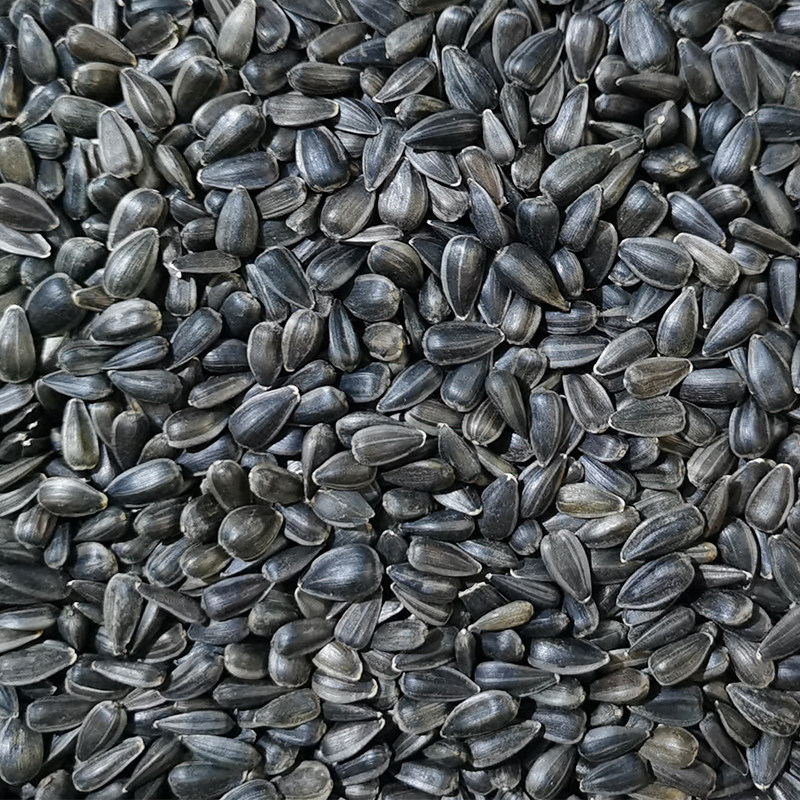 牡丹虎皮鹦鹉饲料小瓜子油葵籽鸟粮宠物鸟食仓鼠零食一斤装鸟零食,淘宝优惠券,粉丝福利购,淘宝优惠卷