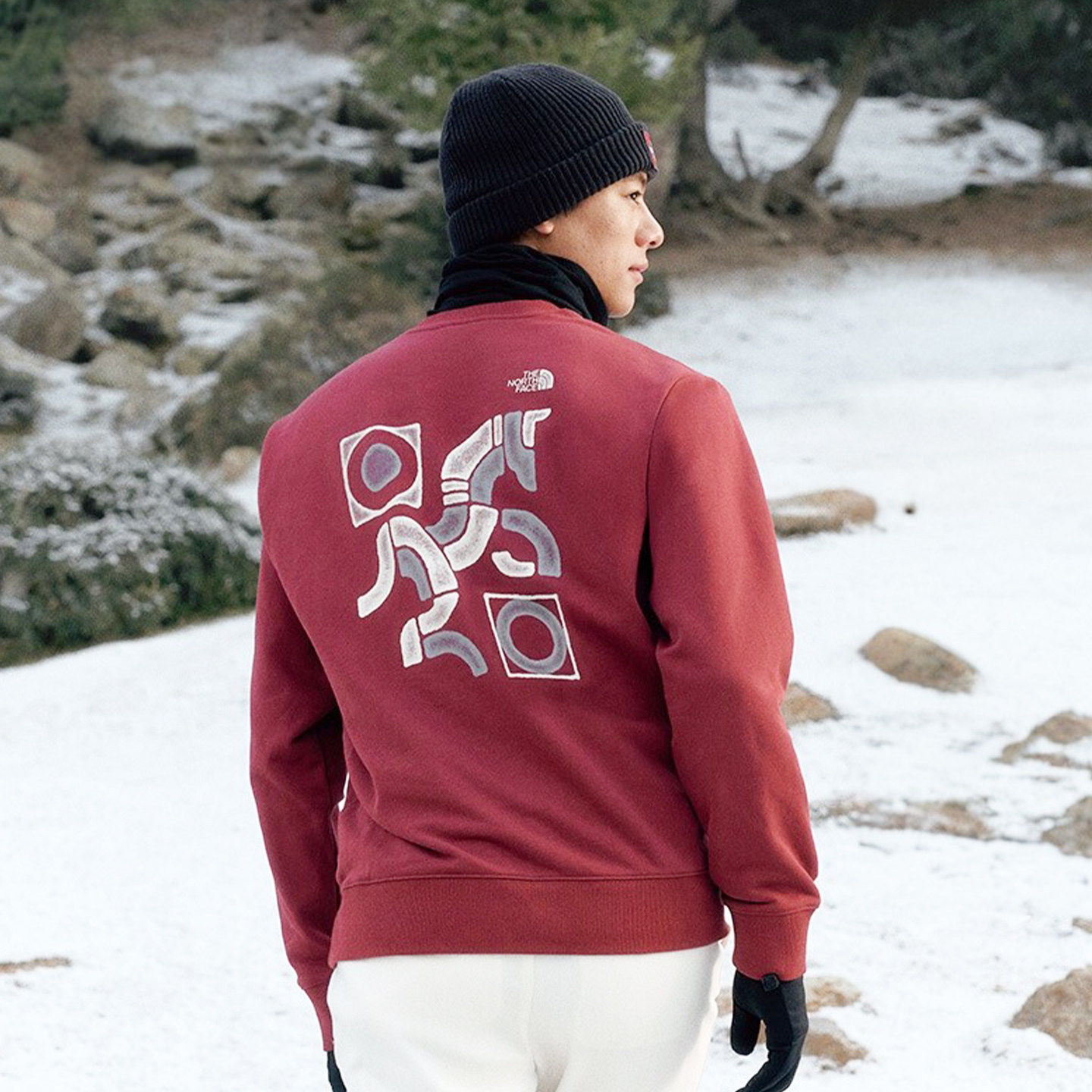 马年新款TheNorthFace北面卫衣男女户外运动休闲针织套头衫8DQY,淘宝优惠券,粉丝福利购,淘宝优惠卷