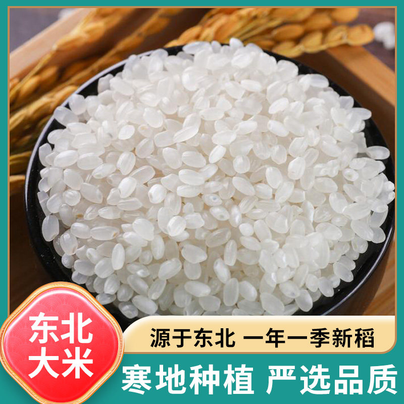 正宗东北大米20斤珍珠米10kg2025年新米米厂直发包邮,淘宝优惠券,粉丝福利购,淘宝优惠卷
