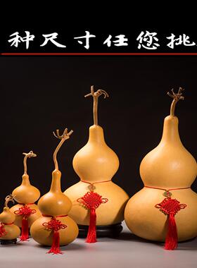 文玩天然真大中小葫芦挂件客厅