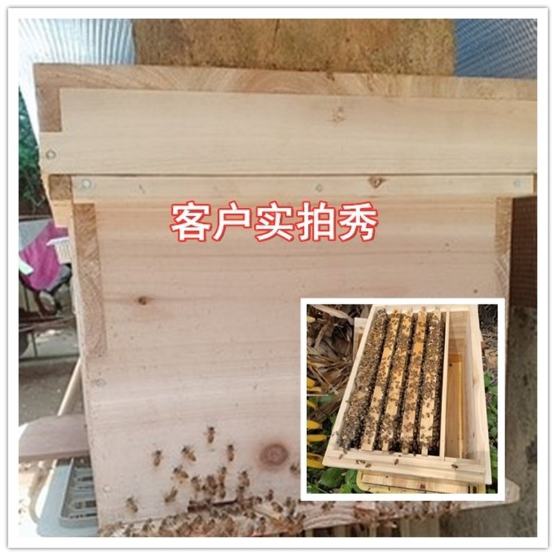 高档养蜂工具蜂箱中蜂桶木蜡煮蜂箱中蜂蜂箱L意蜂蜂箱蜜蜂杉蜜ins