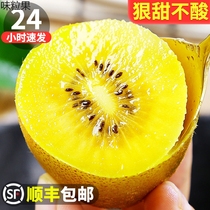 Authentic Szechuan Yellow Heart Chipagin 5 catties Fresh should season fruit chic exotic fruits Big fruits Ogomatino Clay Macaque Peach