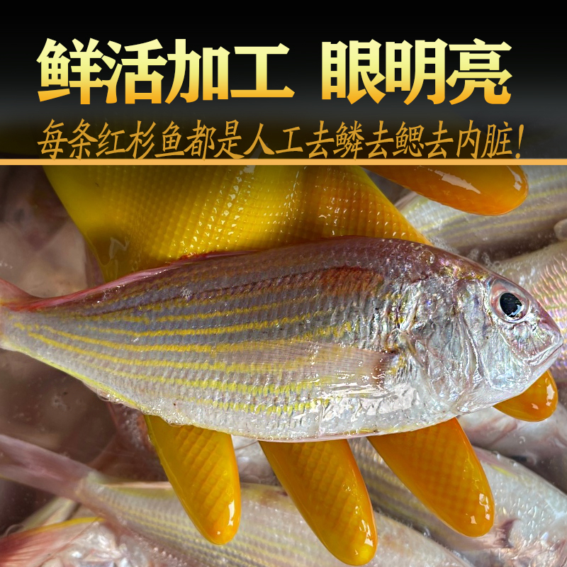 北海红杉鱼新鲜冷冻深海鱼去鳞鳃去内脏红衫鱼冰鲜大号红三鱼海鲜 - 图1