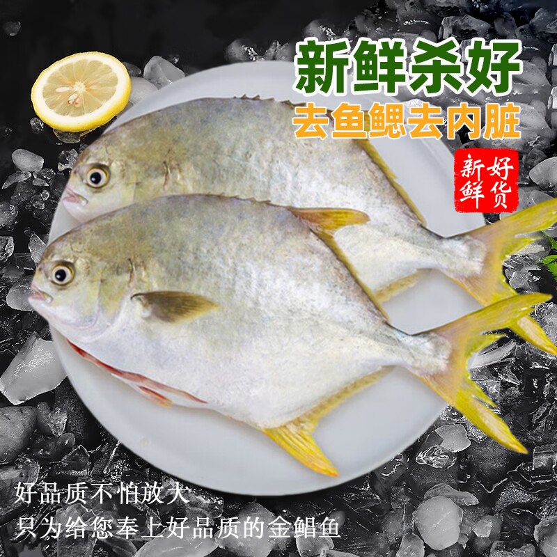 北海金鲳鱼新鲜杀好深海鱼鲜活去鳃去内脏冰鲜冷冻特大开腹金昌鱼,淘宝优惠券,粉丝福利购,淘宝优惠卷