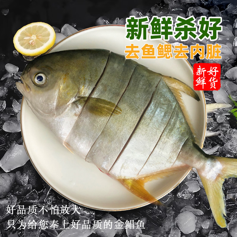 北海金鲳鱼新鲜杀好深海鱼鲜活去鳃去内脏冷冻冰鲜特大切花金昌鱼,淘宝优惠券,粉丝福利购,淘宝优惠卷