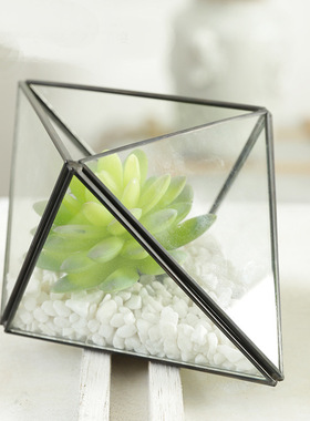 推荐格赫思苔藓悬挂玻璃瓶肉植透明花房暖房多种规格不含配饰