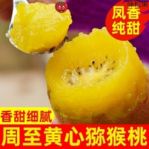 Shaanxi Week to Yellow Heart Exotic Fruits Fresh Great Fruits Should season pregnant women Fruit 5 catties Zheng Zong Huuuuuuuuuuuchi