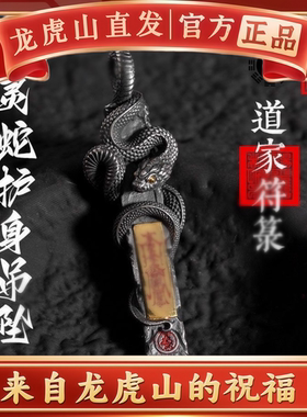 龙虎山法物道家天师钟馗山鬼项链吊坠平安好运护身符招米挂坠饰品