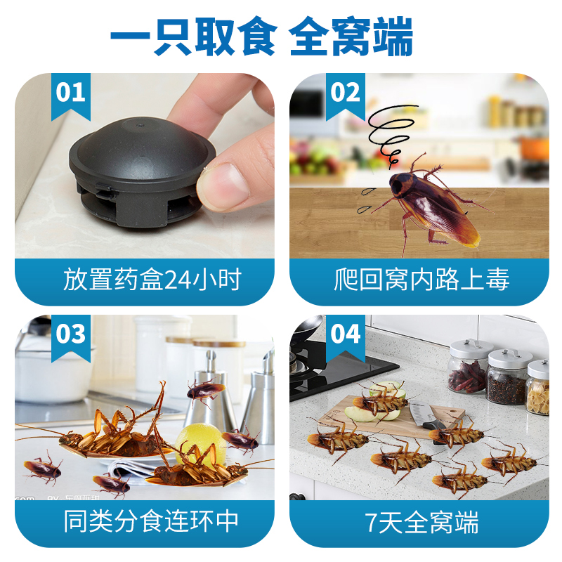 蟑螂药全窝端家用非无毒正品强力灭小强曱甴神器日本小黑屋旗舰店