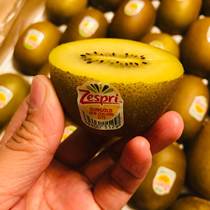 The Canego sunshine fruit bizarre golden fruits Zealanx New Sunny golden fruits Yellow Chipagin Exotic Fruit Sweet